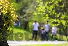 大象传媒综艺-探索大象传媒综艺的独特魅力与文化影响